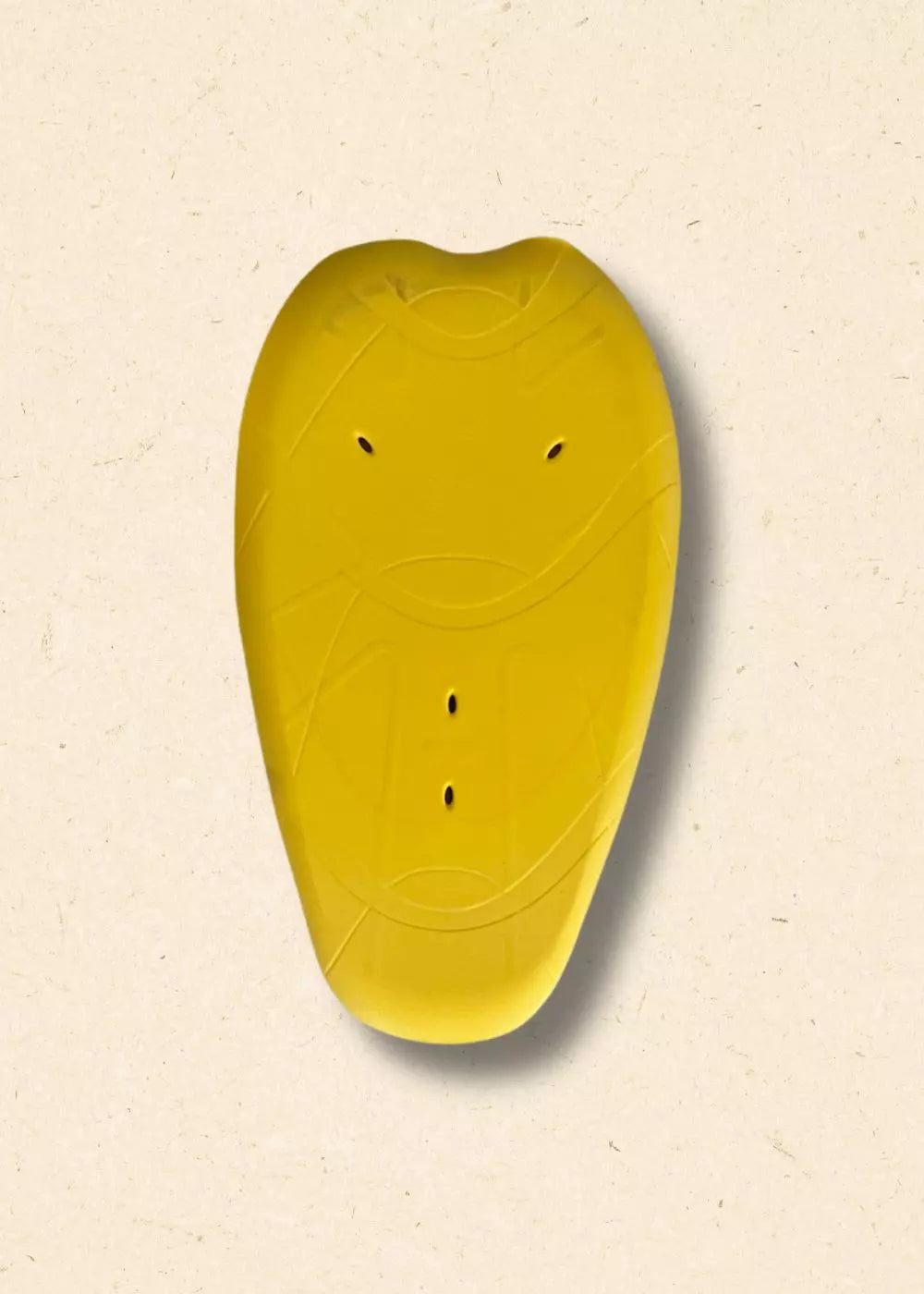 PROTECTION DORSALE - NIVEAU 1