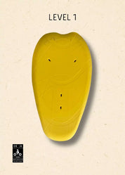 PROTECTION DORSALE - NIVEAU 1